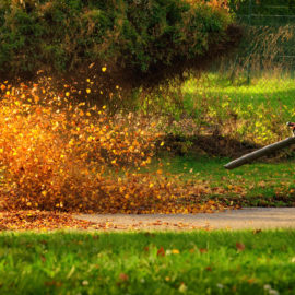 A Brief Guide To Buying A Leaf Blower