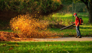 A Brief Guide To Buying A Leaf Blower