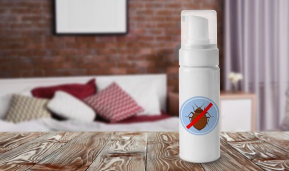Everything You Need To Know About Bed Bug Extermination