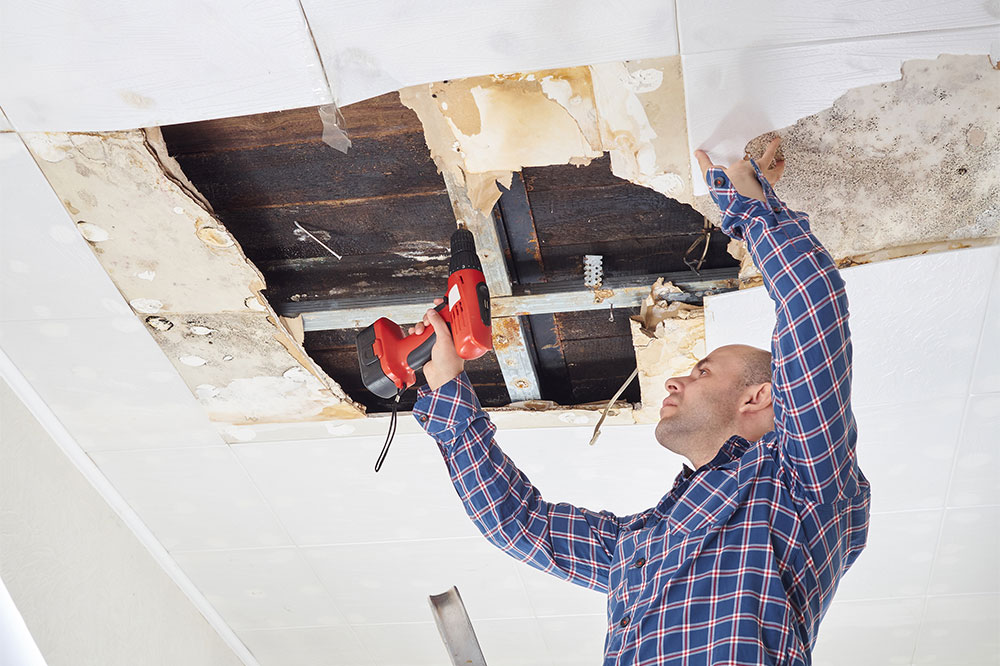 Top services providers for repairing water damage