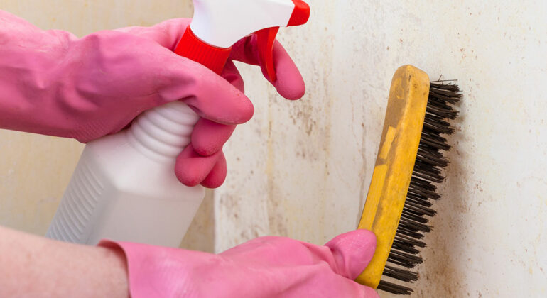 3 natural ways to remove mold