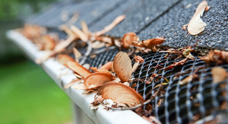 3 types of rain gutter guards that are worth checking out