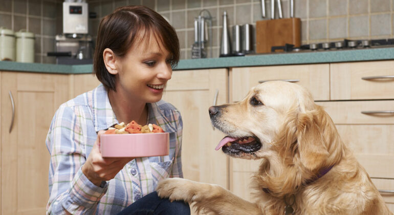The benefits of wet dog food and how to choose the right one
