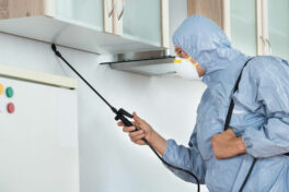 6 factors to consider before selecting a pest control company