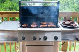 Choose from the Popular Grills on Sale