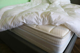 Here are popular Sears mattresses for you
