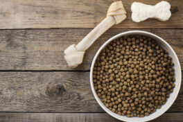 How to Pick the Right Dog Food for a Sensitive Stomach