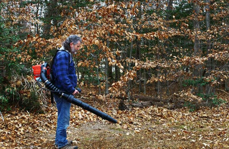 Know about the Types of Leaf Blowers