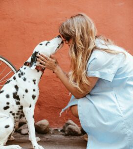 Is Organic CBD Good for your Pets Health?