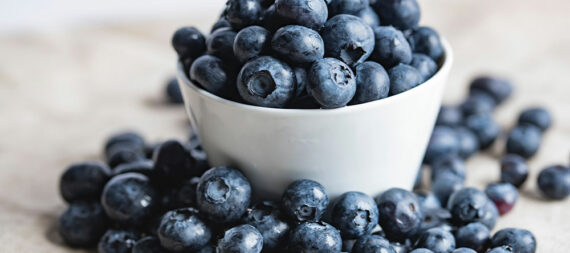10 Superfoods for a Healthy Immune System