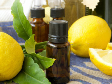 8 natural scents that repel mosquitos