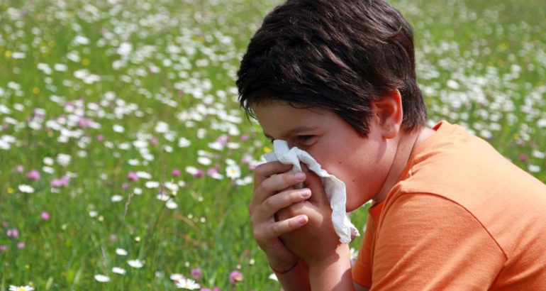 Five food items to fight pollen allergy