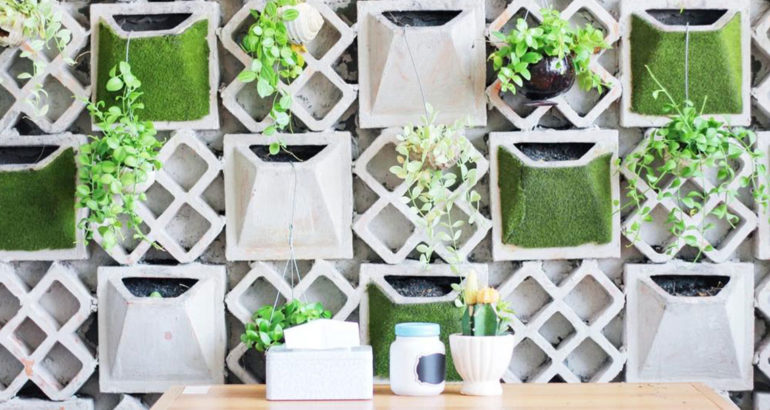 Here’s how you can brighten up your ordinary interiors using plants