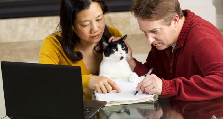 Things you should know about pet insurance