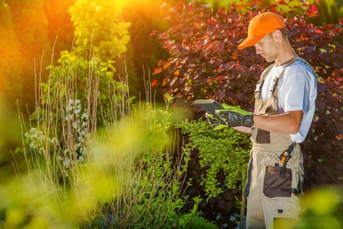A Guide To Affordable Lawn Care Services