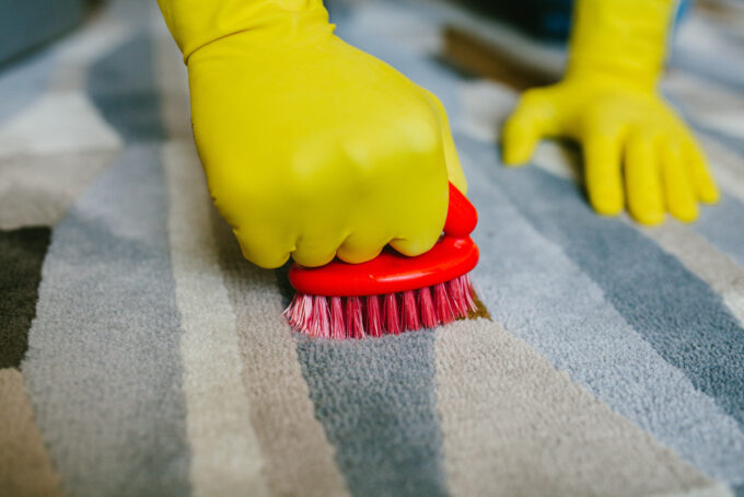 The Best Carpet Stain Removers For Your Home And Office