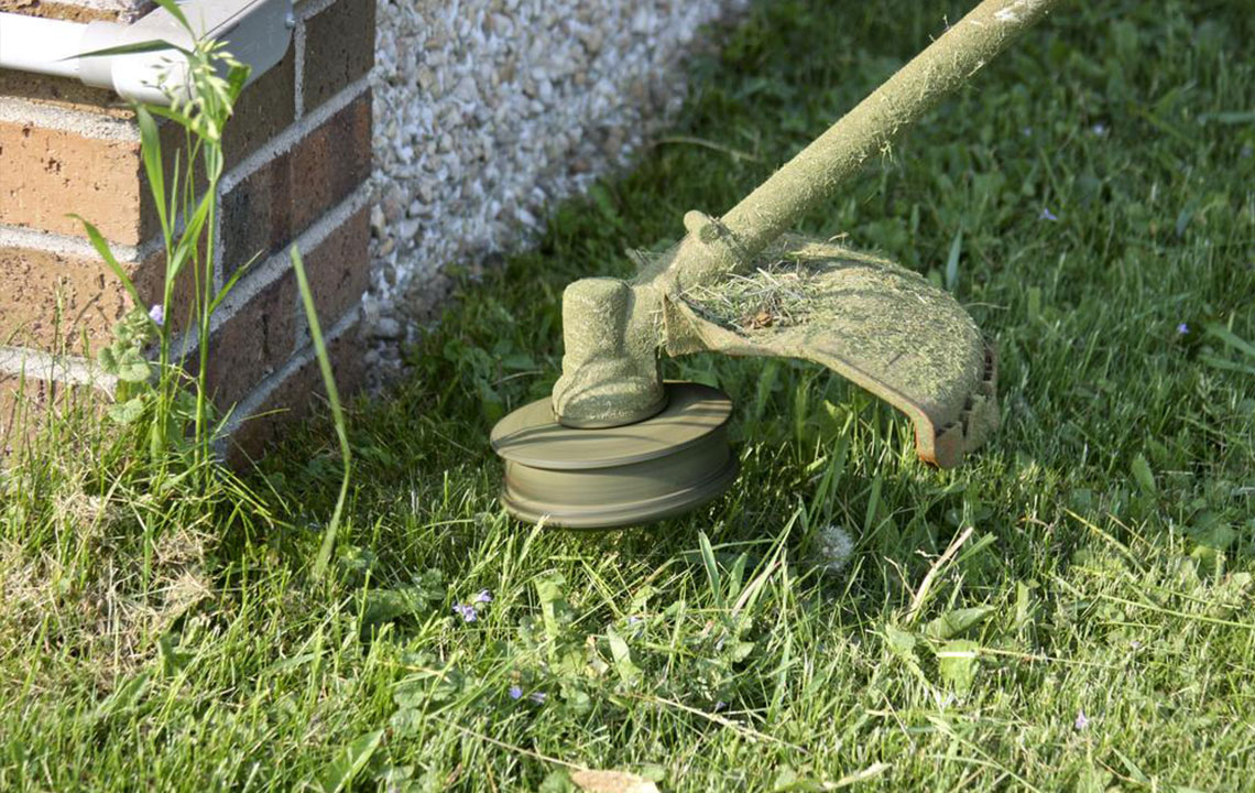 Avoid the growth of weeds using these simple steps