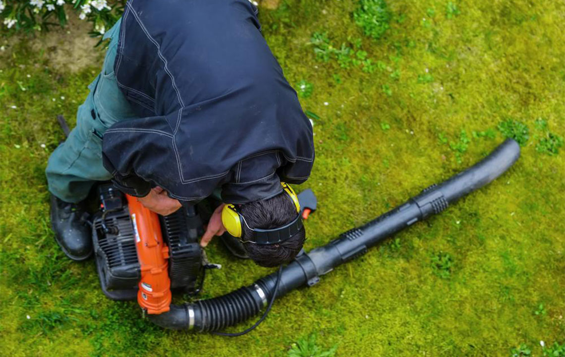 How to choose the right leaf blower for your garden