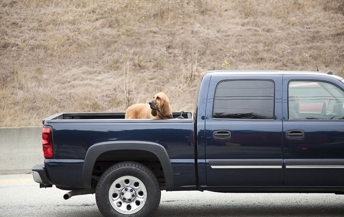 Types of truck bed covers