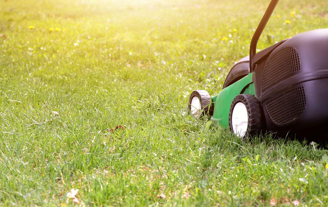 Your guide to choosing an ideal lawn mower